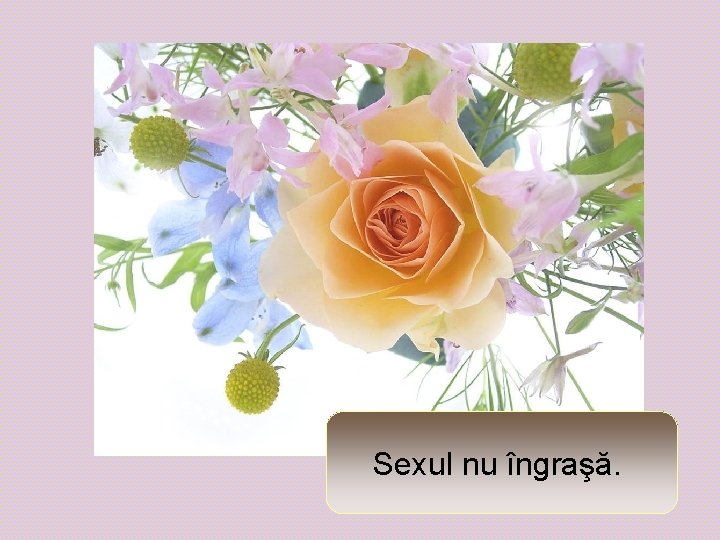 Sexul nu îngraşă. 