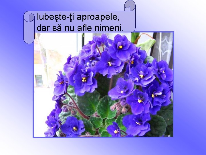 Iubeşte-ţi aproapele, dar să nu afle nimeni. 