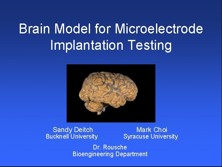 Brain Model for Microelectrode Implantation Testing Sandy Deitch Bucknell University Mark Choi Syracuse University