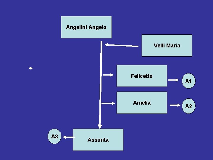 Angelini Angelo Velli Maria Felicetto Amelia A 3 Assunta A 1 A 2 