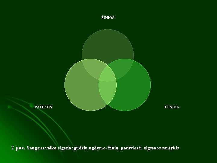 ŽINIOS PATIRTIS ELSENA 2 pav. Saugaus vaiko elgesio įgūdžių ugdymo- žinių, patirties ir elgsenos