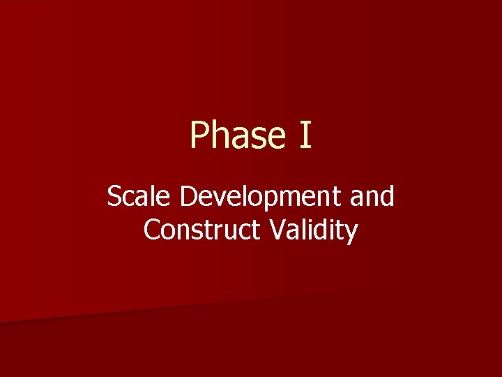 Phase I Scale Development and Construct Validity 