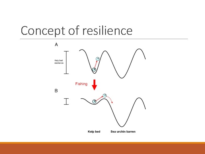 Concept of resilience 