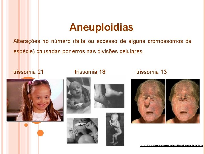 Aneuploidias Alterações no número (falta ou excesso de alguns cromossomos da espécie) causadas por