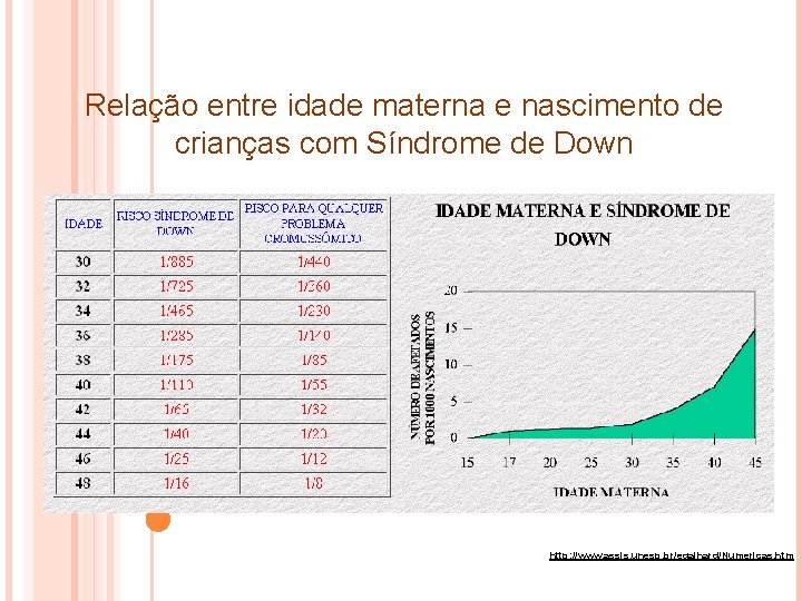 Relação entre idade materna e nascimento de crianças com Síndrome de Down http: //www. Relação entre idade materna e nascimento de crianças com Síndrome de Down http: //www.