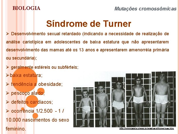 BIOLOGIA Mutações cromossômicas Síndrome de Turner Ø Desenvolvimento sexual retardado (indicando a necessidade de