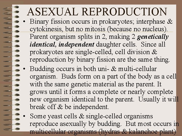 ASEXUAL REPRODUCTION • Binary fission occurs in prokaryotes; interphase & cytokinesis, but no mitosis ASEXUAL REPRODUCTION • Binary fission occurs in prokaryotes; interphase & cytokinesis, but no mitosis