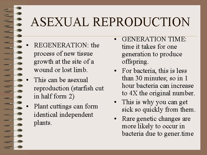 ASEXUAL REPRODUCTION • REGENERATION: the process of new tissue growth at the site of ASEXUAL REPRODUCTION • REGENERATION: the process of new tissue growth at the site of