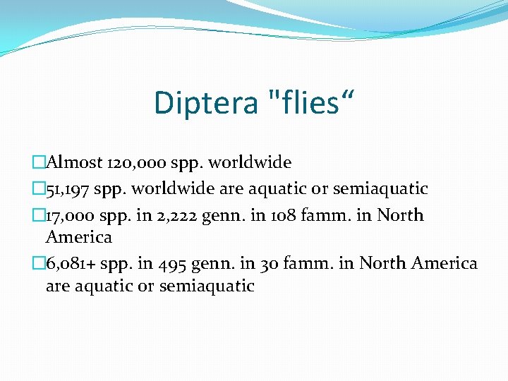 Diptera "flies“ �Almost 120, 000 spp. worldwide � 51, 197 spp. worldwide are aquatic