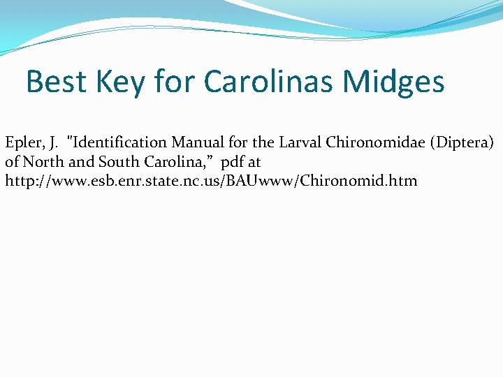 Best Key for Carolinas Midges Epler, J. "Identification Manual for the Larval Chironomidae (Diptera)