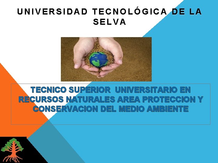 UNIVERSIDAD TECNOLÓGICA DE LA SELVA TECNICO SUPERIOR UNIVERSITARIO EN RECURSOS NATURALES AREA PROTECCION Y