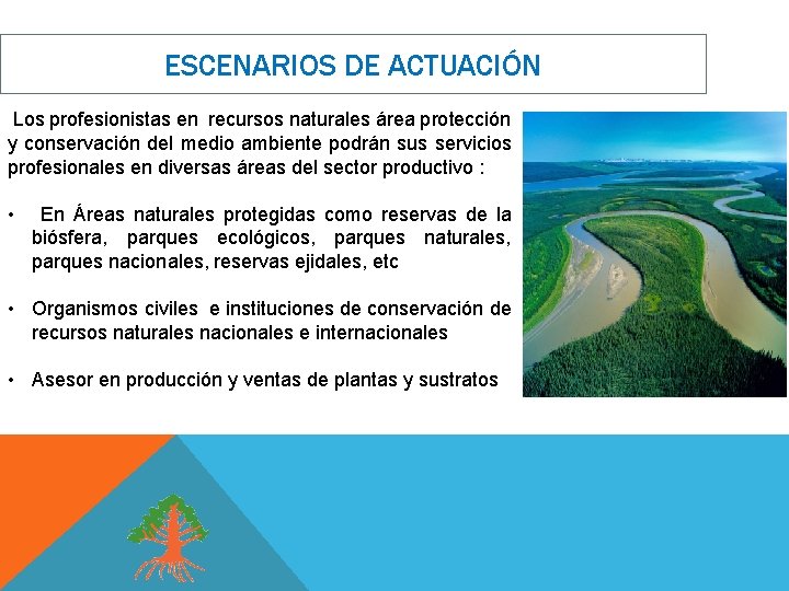 ESCENARIOS DE ACTUACIÓN Los profesionistas en recursos naturales área protección y conservación del medio