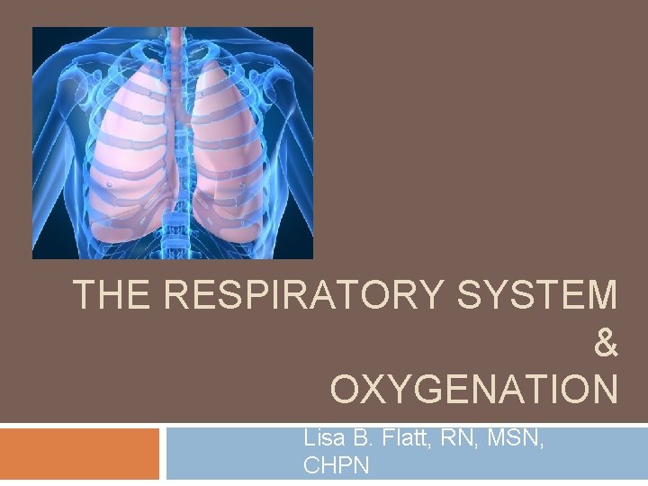THE RESPIRATORY SYSTEM & OXYGENATION Lisa B. Flatt, RN, MSN, CHPN 