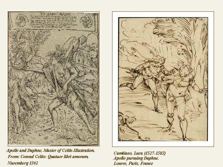 Apollo and Daphne, Master of Celtis-Illustration. From: Conrad Celtis: Quatuor libri amorum, Nuremberg 1502