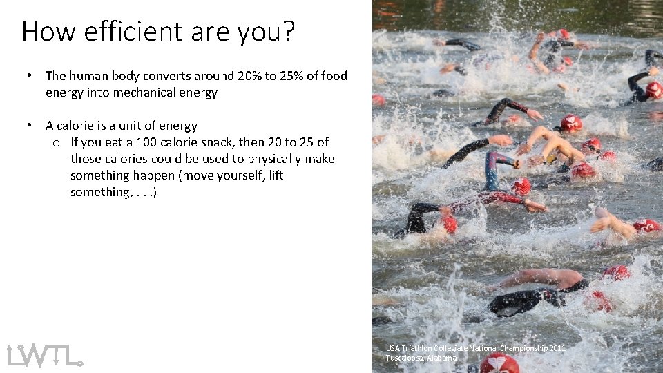 How efficient are you? • The human body converts around 20% to 25% of