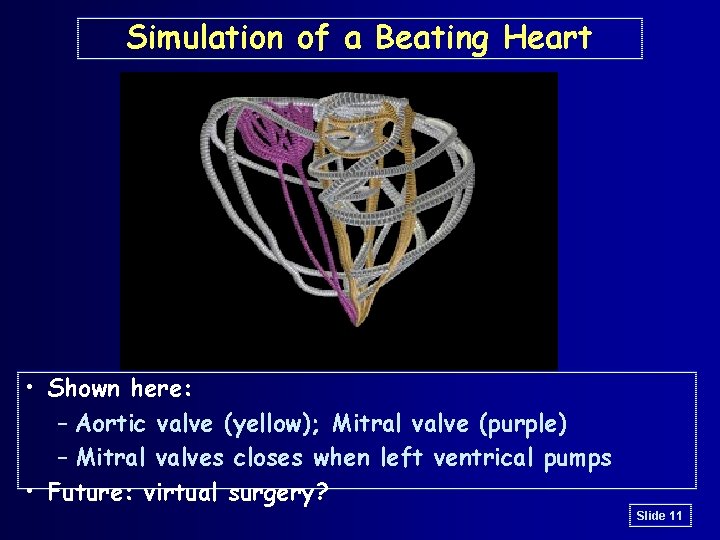 Simulation of a Beating Heart • Shown here: – Aortic valve (yellow); Mitral valve