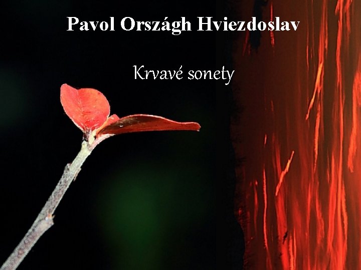 Pavol Országh Hviezdoslav Krvavé sonety 