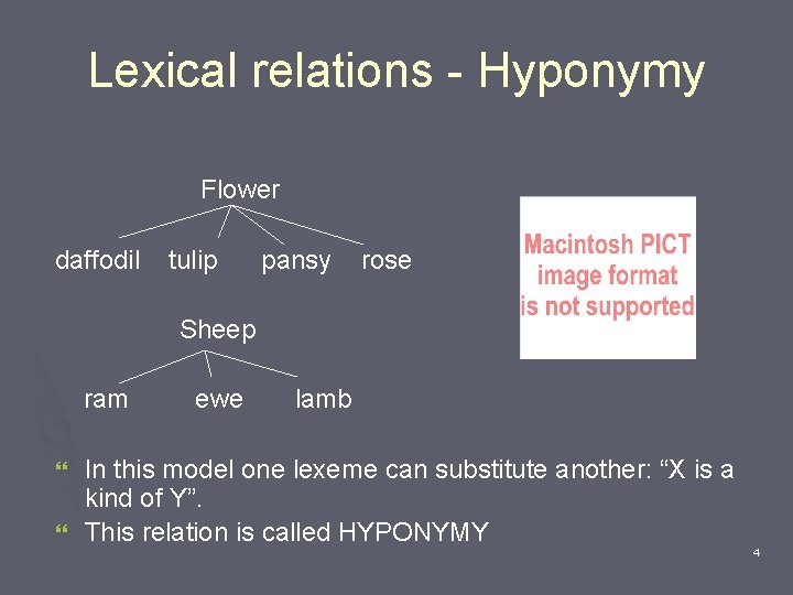 Lexical relations - Hyponymy Flower daffodil tulip pansy rose Sheep ram ewe lamb In