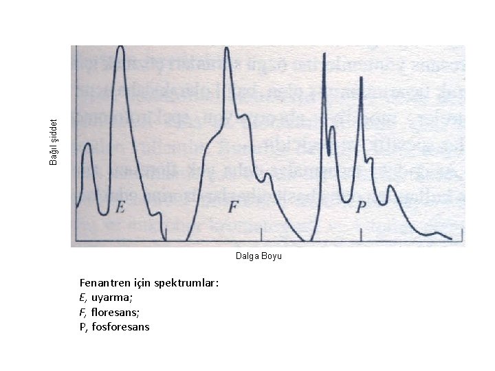 Bağıl şiddet Dalga Boyu Fenantren için spektrumlar: E, uyarma; F, floresans; P, fosforesans 