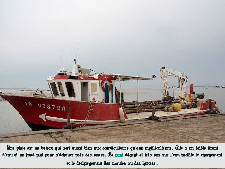 Une plate est un bateau qui sert aussi bien aux ostréiculteurs qu’aux mytiliculteurs. Elle