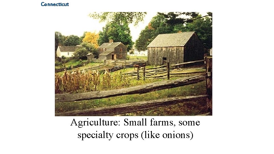Connecticut Agriculture: Small farms, some specialty crops (like onions) 