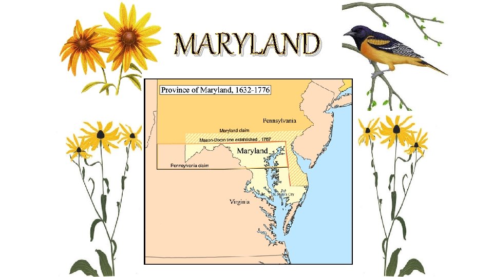 MARYLAND 