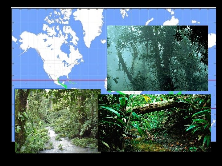 I can give the characteristics of various biomes (tropical rain forest, temperate deciduous forest,