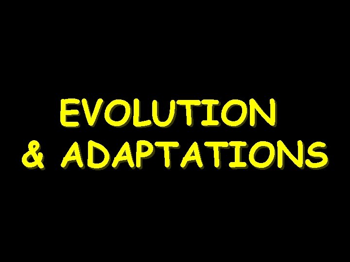EVOLUTION & ADAPTATIONS 