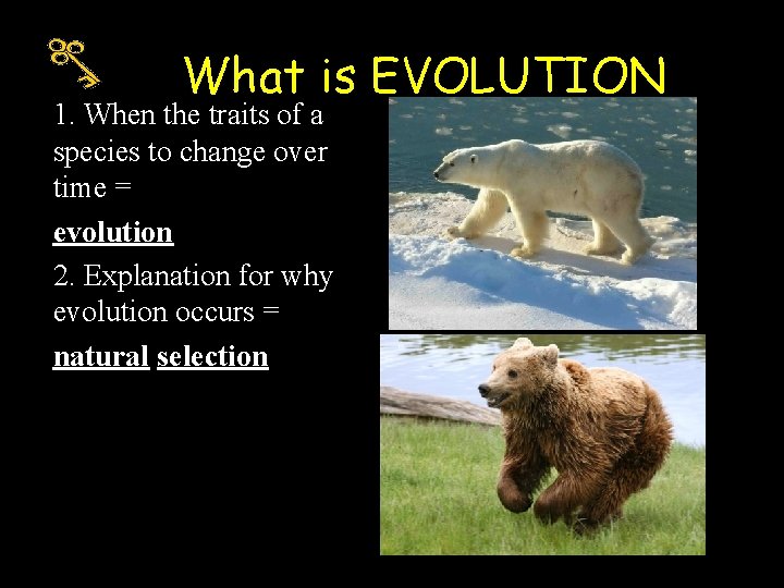 What is EVOLUTION 1. When the traits of a species to change over time