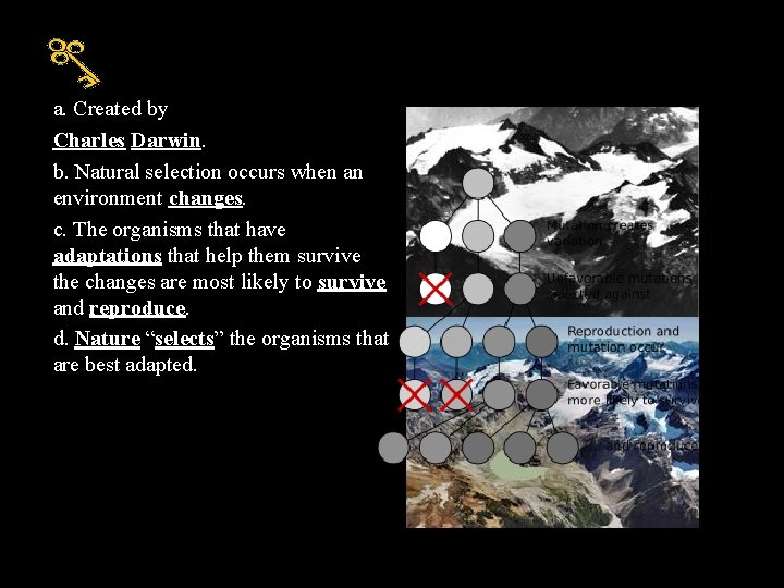 a. Created by Charles Darwin. b. Natural selection occurs when an environment changes. c.