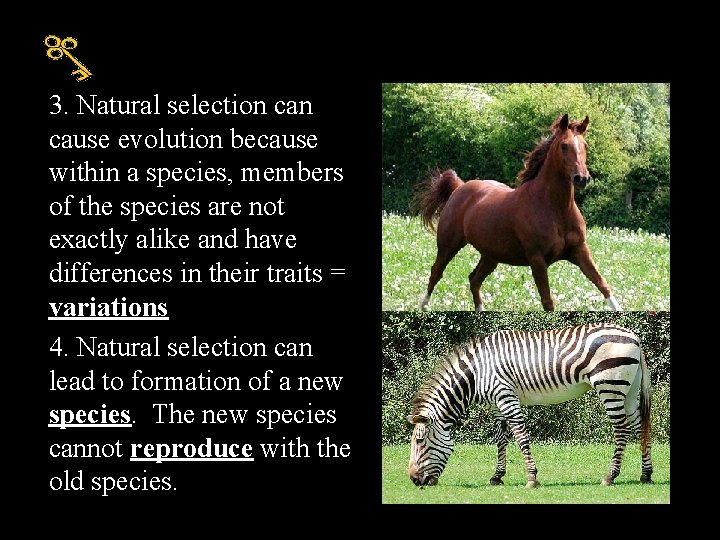3. Natural selection cause evolution because within a species, members of the species are