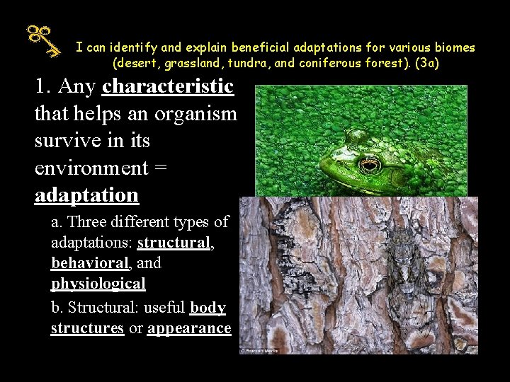 I can identify and explain beneficial adaptations for various biomes (desert, grassland, tundra, and