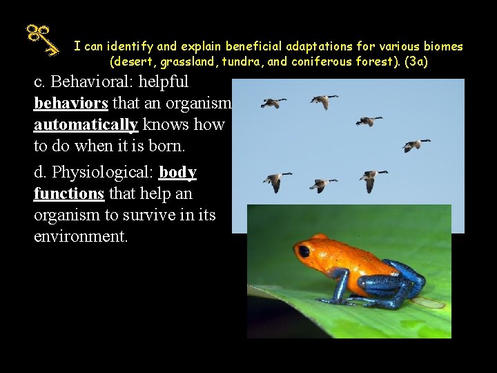 I can identify and explain beneficial adaptations for various biomes (desert, grassland, tundra, and