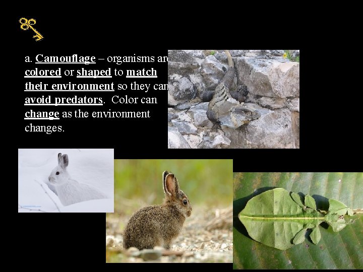 a. Camouflage – organisms are colored or shaped to match their environment so they