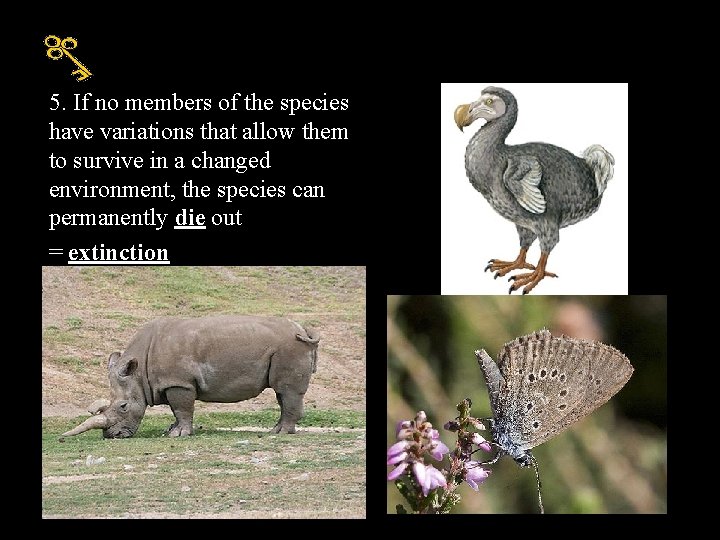 5. If no members of the species have variations that allow them to survive