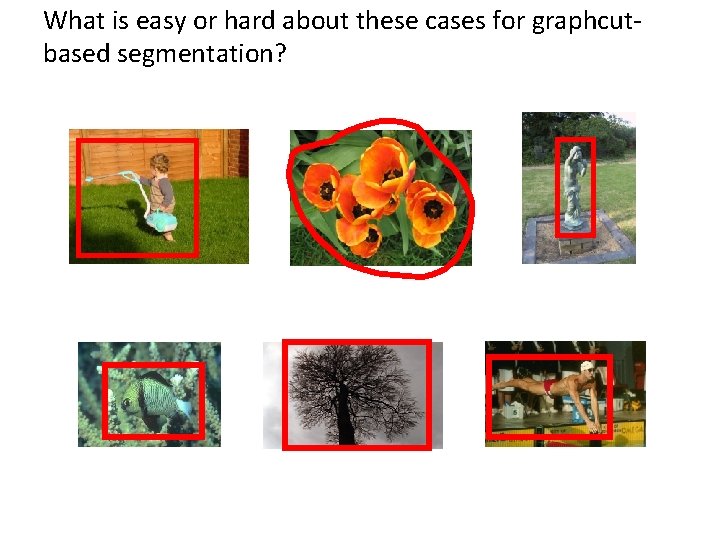 What is easy or hard about these cases for graphcutbased segmentation? 