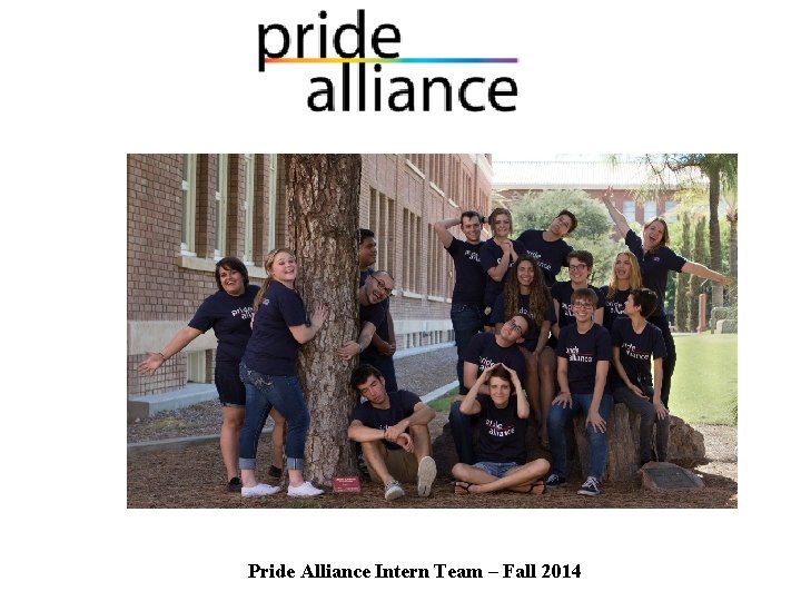 Pride Alliance Intern Team – Fall 2014 