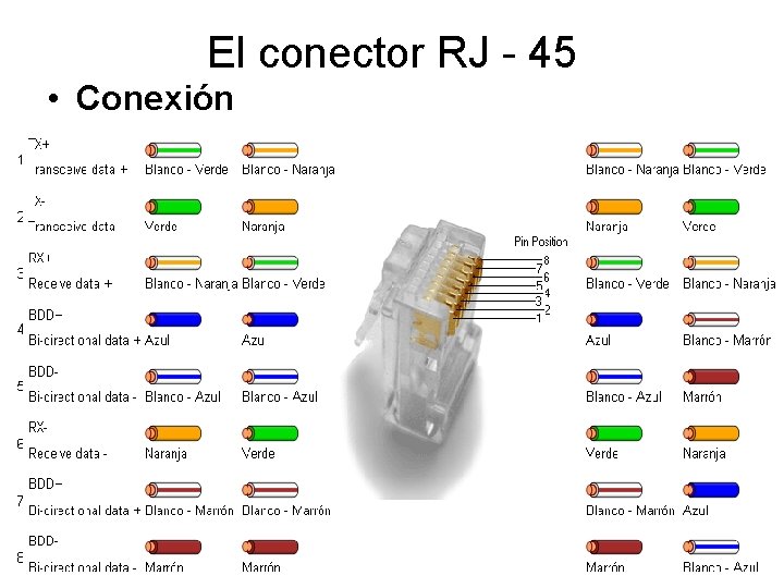 El conector RJ - 45 • Conexión 