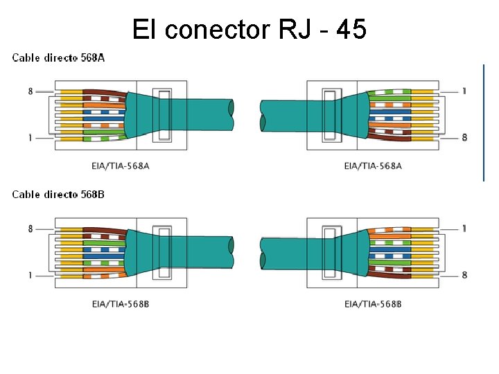 El conector RJ - 45 