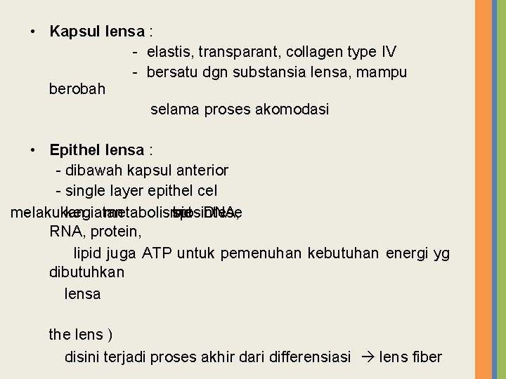  • Kapsul lensa : - elastis, transparant, collagen type IV - bersatu dgn