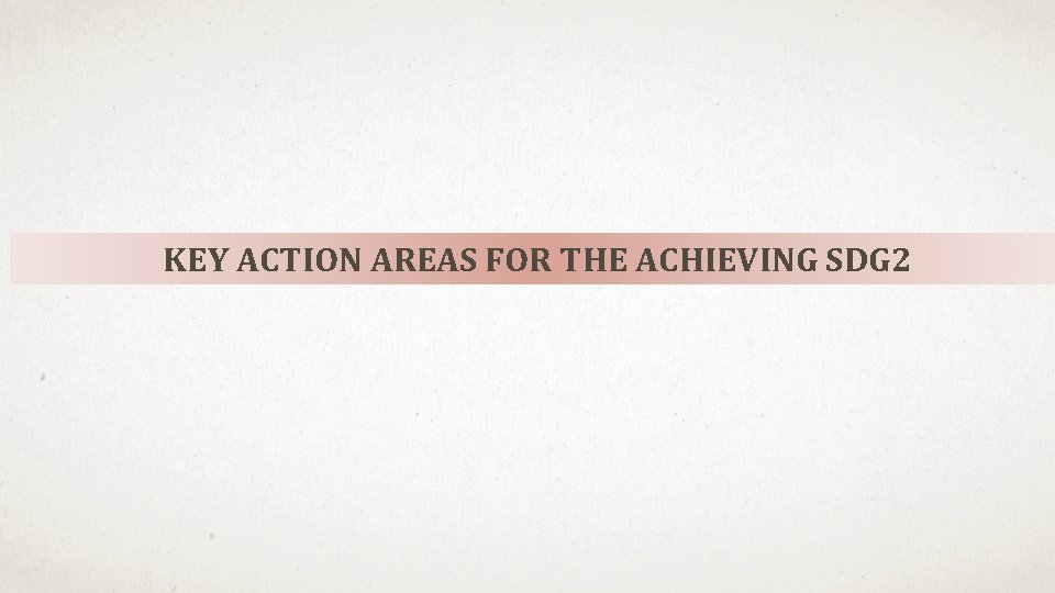 KEY ACTION AREAS FOR THE ACHIEVING SDG 2 