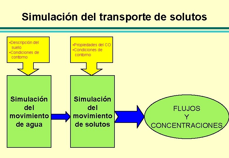 Simulación del transporte de solutos • Descripción del suelo • Condiciones de contorno •