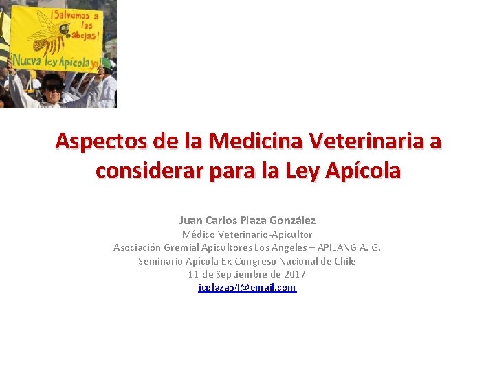 Aspectos de la Medicina Veterinaria a considerar para la Ley Apícola Juan Carlos Plaza