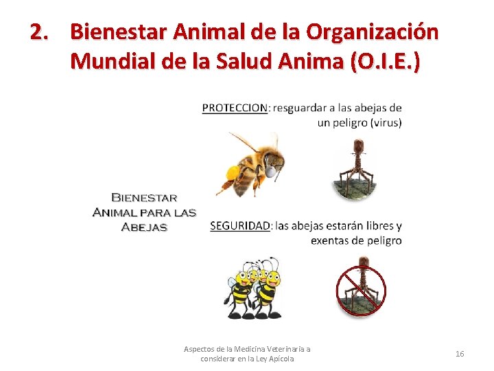 2. Bienestar Animal de la Organización Mundial de la Salud Anima (O. I. E.