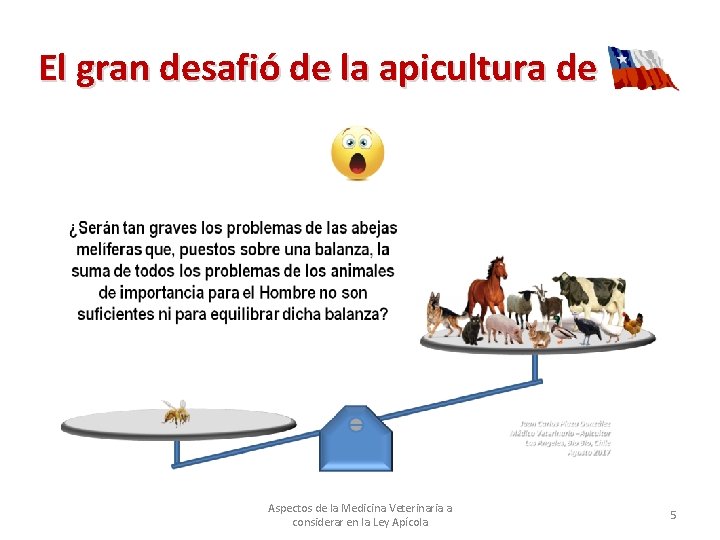 El gran desafió de la apicultura de Aspectos de la Medicina Veterinaria a considerar