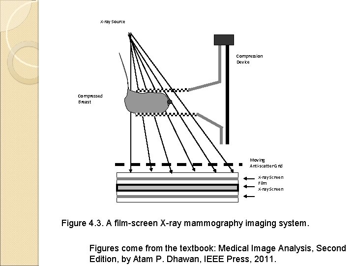 X-ray Source Compression Device Compressed Breast Moving Anti-scatter Grid X-ray Screen Film X-ray Screen