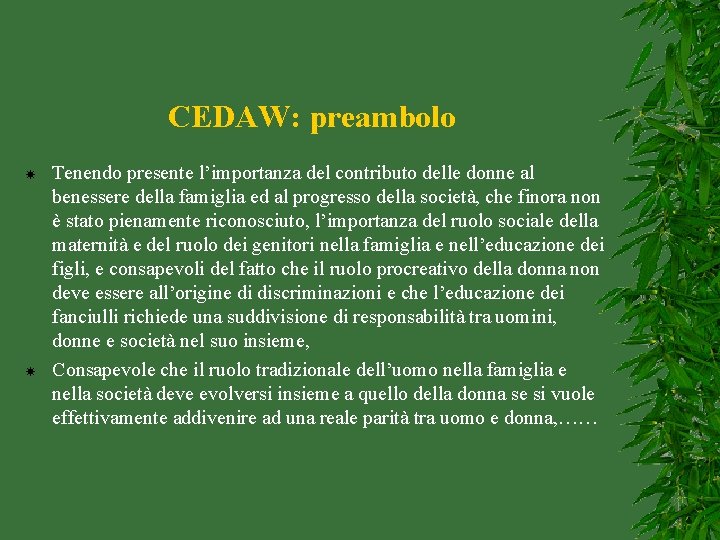 CEDAW: preambolo Tenendo presente l’importanza del contributo delle donne al benessere della famiglia ed