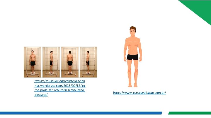 https: //museudinamicointerdiscipli nar. wordpress. com/2018/09/12/co mo-pode-ser-realizada-a-avaliacaopostural/ https: //www. cursoavaliacao. com. br/ https: //museudinamicointerdiscipli nar. wordpress. com/2018/09/12/co mo-pode-ser-realizada-a-avaliacaopostural/ https: //www. cursoavaliacao. com. br/