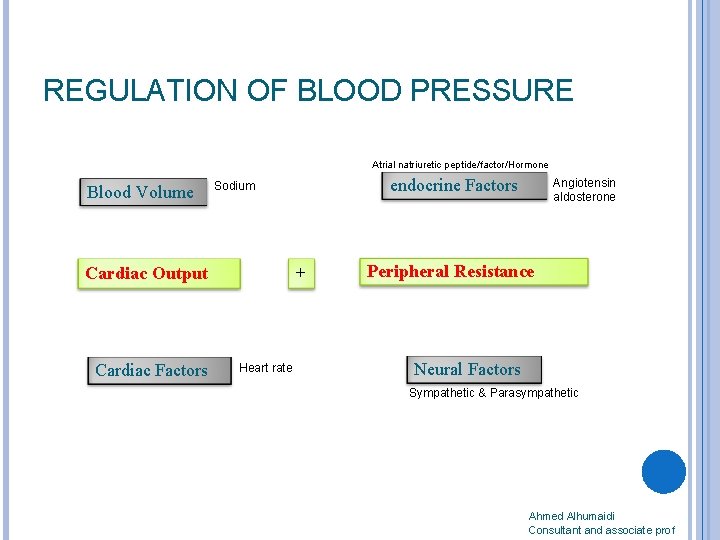REGULATION OF BLOOD PRESSURE Atrial natriuretic peptide/factor/Hormone Blood Volume Cardiac Output Cardiac Factors endocrine