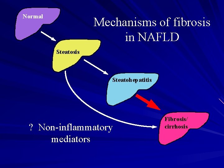 Normal Mechanisms of fibrosis in NAFLD Steatosis Steatohepatitis ? Non-inflammatory mediators Fibrosis/ cirrhosis 